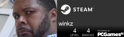 winkz Steam Signature
