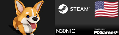N30NIC Steam Signature