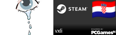 vxli Steam Signature