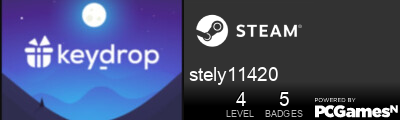 stely11420 Steam Signature