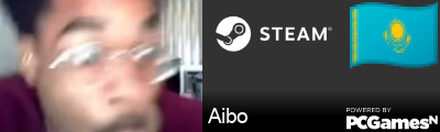 Aibo Steam Signature