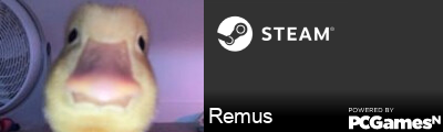 Remus Steam Signature