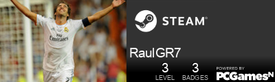RaulGR7 Steam Signature