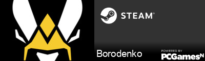 Borodenko Steam Signature