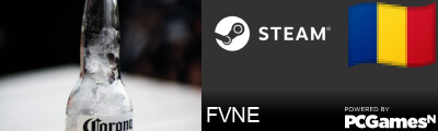 FVNE Steam Signature