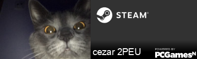 cezar 2PEU Steam Signature