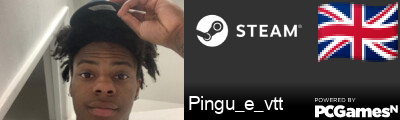 Pingu_e_vtt Steam Signature