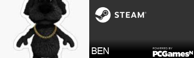 BEN Steam Signature