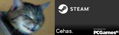 Cehas. Steam Signature