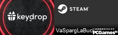 VaSpargLaBuci *********** Steam Signature