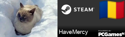 HaveMercy Steam Signature