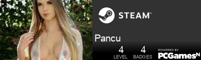 Pancu Steam Signature