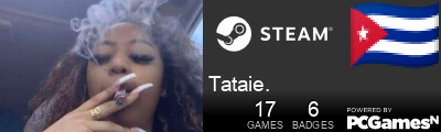 Tataie. Steam Signature