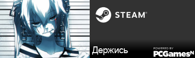 Держись Steam Signature