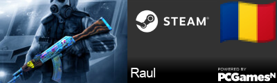 Raul Steam Signature
