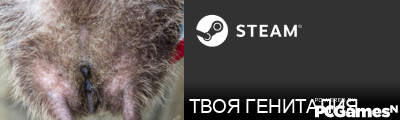 ТВОЯ ГЕНИТАЛИЯ Steam Signature