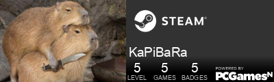 KaPiBaRa Steam Signature
