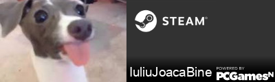 IuliuJoacaBine Steam Signature