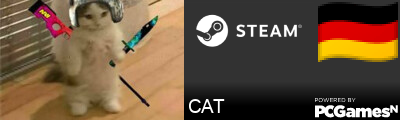 CAT Steam Signature