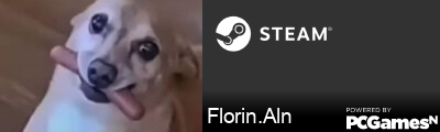 Florin.Aln Steam Signature