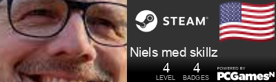 Niels med skillz Steam Signature