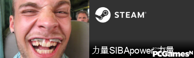 力量SIBApower 力量 Steam Signature