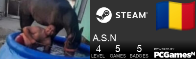 A.S.N Steam Signature