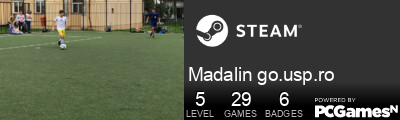 Madalin go.usp.ro Steam Signature