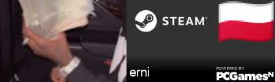 erni Steam Signature