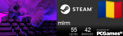 mlrm Steam Signature