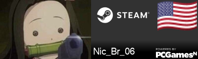 Nic_Br_06 Steam Signature
