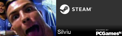 Silviu Steam Signature
