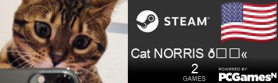 Cat NORRIS 🔫 Steam Signature