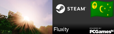 Fluxity Steam Signature
