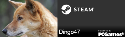 Dingo47 Steam Signature