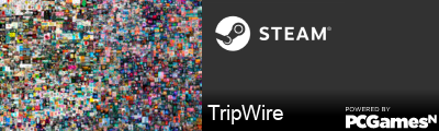 TripWire Steam Signature