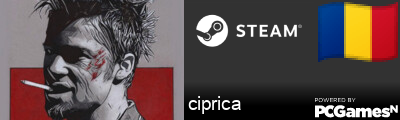 ciprica Steam Signature