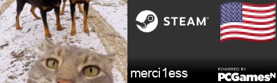 merci1ess Steam Signature