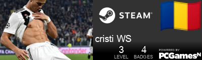 cristi WS Steam Signature