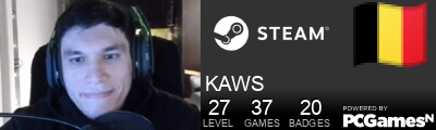 KAWS Steam Signature