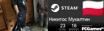 Никитос Мукалтин Steam Signature