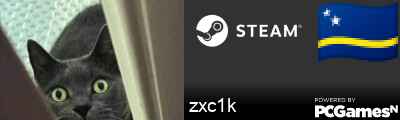 zxc1k Steam Signature