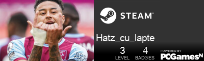 Hatz_cu_lapte Steam Signature