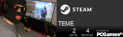TEME Steam Signature