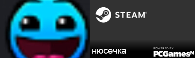 нюсечка Steam Signature