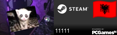 11111 Steam Signature