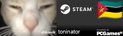toninator Steam Signature