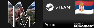 Asino Steam Signature