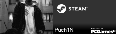Puch1N Steam Signature