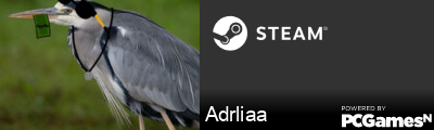 Adrliaa Steam Signature